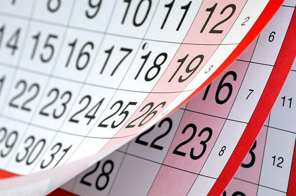 Как отдыхаем в феврале 2024 года на 23 февраля: календарь от Правительства